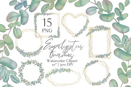 Baby Blue Eucalyptus Gold Frames