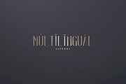 Irina Luxe Serif Font -30%, a Serif Font by VP Fonts (Thumbnail 7 of 9)