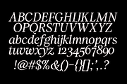 Zachariah Calligraphic Italic Serif, a Serif Font by Viswell (Thumbnail 10 of 10)