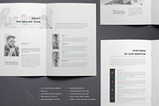 Proposal, a Brochure Template by ThemeDevisers (Thumbnail 3 of 6)
