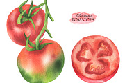 Watercolor Tomatoes, a Food Illustration by OlDm_Shop (Thumbnail 3 of 5)