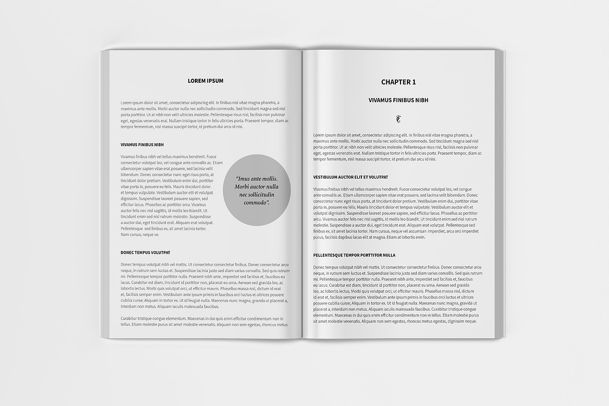 Softcover Book Mockup - A4, a Books & Magazine Mockup by Illusiongraphic (Photo 12 of 22)