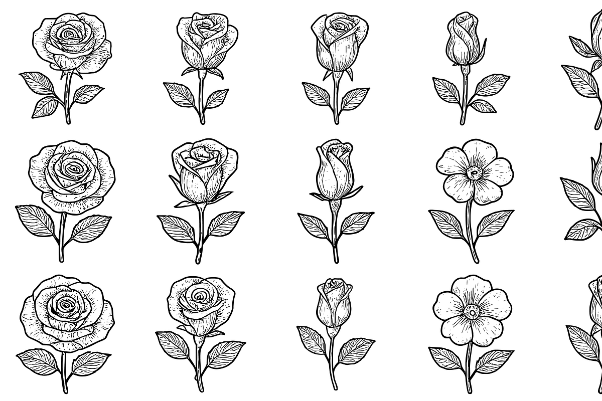 HandDrawn Rose Flower Collection, an Illustration by Sempu
