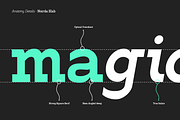 Noirda Slab Serif, a Slab Serif Font by Hanaksara Studio (Thumbnail 4 of 11)