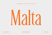 TBJ Malta 9-Font Family, a Serif Font by Taboja Studio (Thumbnail 1 of 16)