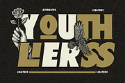 Fd Liondales + Extra, a Sans Serif Font by Fortunes Co (Thumbnail 7 of 11)