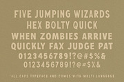 Franklin Stone + Extras, a Sans Serif Font by IronbirdCreative (Thumbnail 9 of 10)