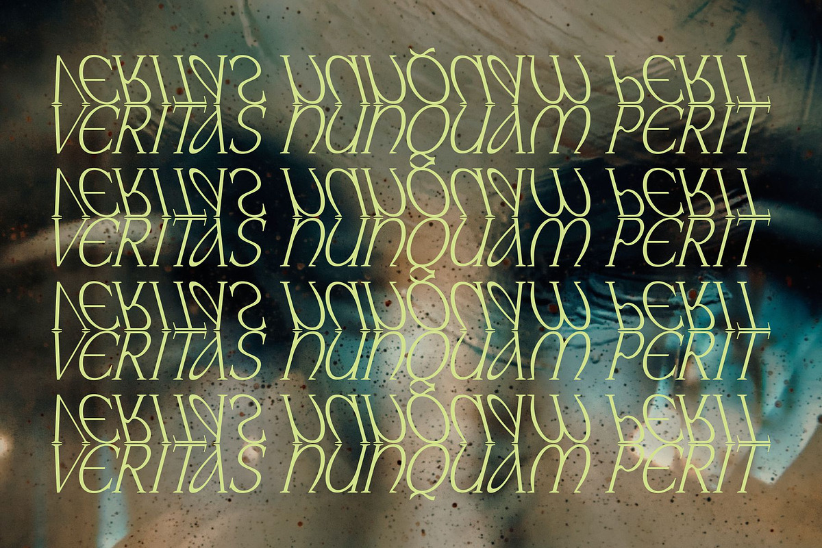 Naure - Serif Display, a Serif Font by takoliko (Photo 5 of 11)