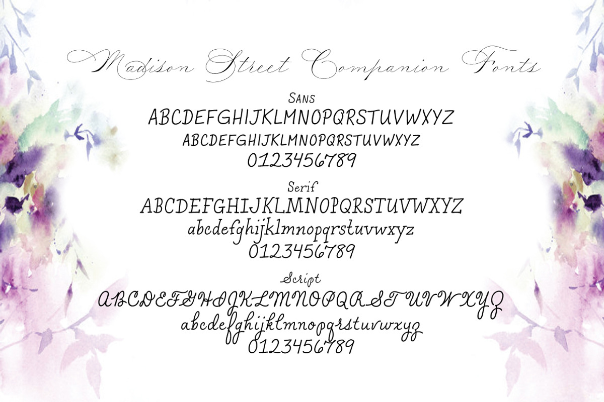 Madison Street Sans, a Sans Serif Font by STUDIOWAYS (Photo 4 of 5)