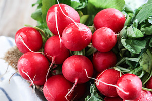 Red radish containing bright, bunch, and colorful