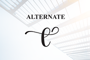 Skylight | Script Font, a Handwritten Font by Scratchones (Thumbnail 8 of 9)