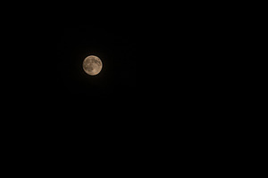 Minimal Full Moon Isolated in Black, a Nature Photo by Elena Vagengeim