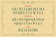 Holly Garland Christmas Serif Font, a Serif Font by Rasio Studio (Thumbnail 2 of 8)