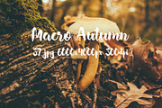 Macro Autumn photo bundle, a Templates & Theme by ApertureVintage (Thumbnail 18 of 21)