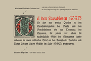 Medieval Initials. Gothic Drop caps, a Blackletter Font by kaer_shop (Thumbnail 4 of 12)