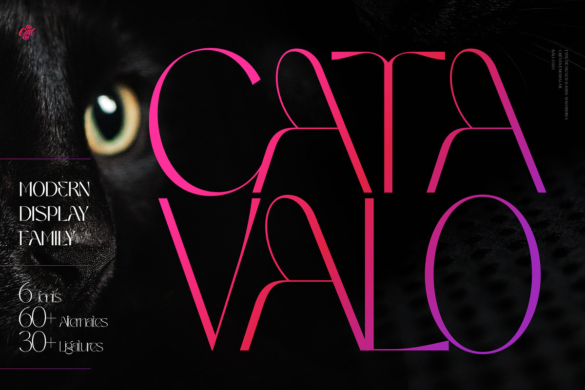 Catavalo - Modern display family, a Font by creativemedialab (Photo 3 of 23)