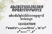 Flower Hand Drawn display Font, a Script Font by Happy Letters (Thumbnail 8 of 10)