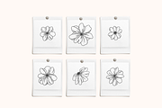 Floral Vector Illustrations, a Decorative Illustration by Emma Webb Studio (Thumbnail 5 of 5)