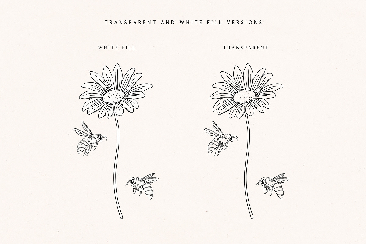 Wild Honey Vector Illustrations, a Decorative Illustration by rouxsupplyco (Photo 8 of 14)