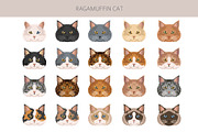 Ragamuffin cat clip art, an Animal Illustration by pet design shop (Thumbnail 4 of 5)