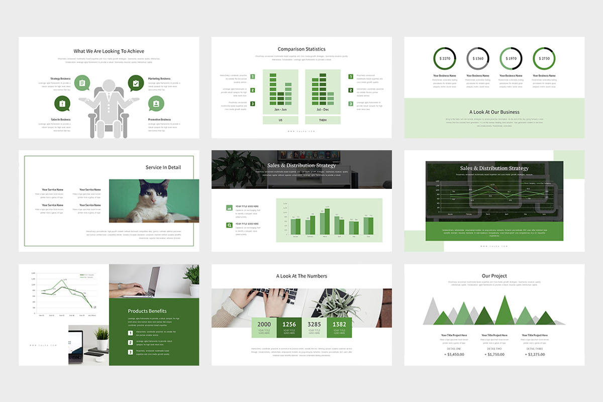 Calea : Green Pitch Deck Keynote, a Presentation Template by Punkl Camp