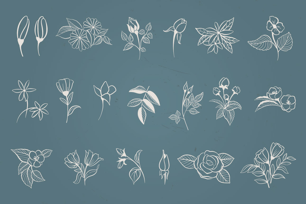Hand Drawn Botanical Elements, a Decorative Illustration by Solana (Photo 2 of 3)