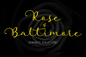 Rose of Baltimore - SALE - 70% OFF!
