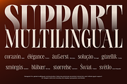 TBJ Valmist Elegant Modern Serif, a Serif Font by Taboja Studio (Thumbnail 5 of 15)