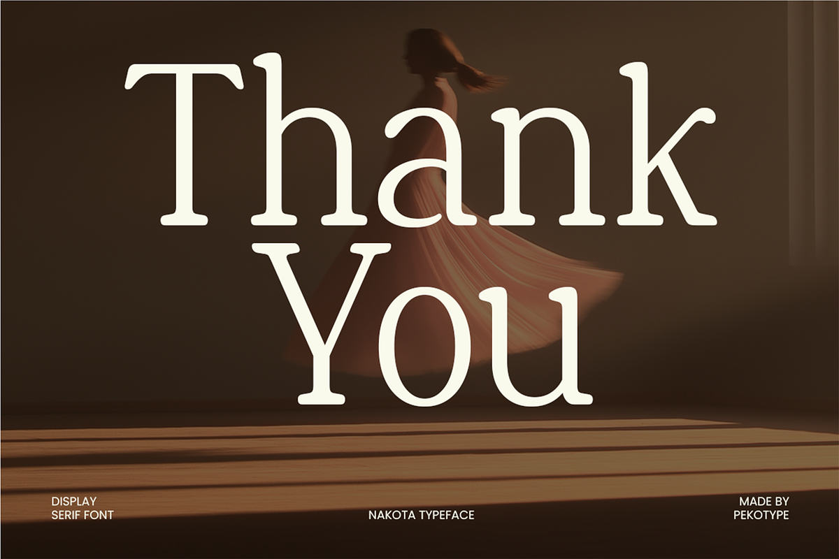 Nakota - Modern Clean Serif Font, a Serif Font by Pekotype (Photo 15 of 15)