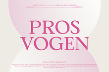 TBJ Pros Vogen Luxury Modern Serif