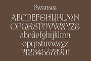 Swansea Font, a Serif Font by Mysterylab Designs (Thumbnail 5 of 9)
