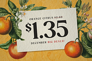 Orange Squash - Bold Vintage Serif, a Serif Font by Pixesia Studio (Thumbnail 9 of 15)