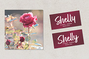 Rose Spe, a Script Font by Stripes Studio (Thumbnail 6 of 9)
