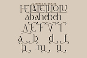 Fevita, a Serif Font by Kenrichi (Thumbnail 10 of 12)