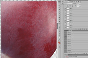 Cranberries—46 images, an Object Graphic by Hortimages (Thumbnail 8 of 8)