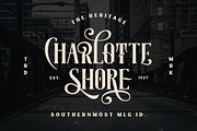 Whole Store Bundle | 95 OFF, a Serif Font by Swistblnk Std. (Thumbnail 23 of 60)
