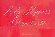 Lady Slippers Basic 4 Pak, a Script Font by STUDIOWAYS (Thumbnail 6 of 11)