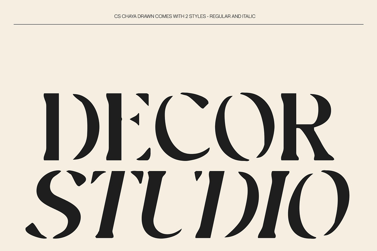 CS Chaya Drawn, a Serif Font by Craft Supply Co. (Photo 5 of 8)