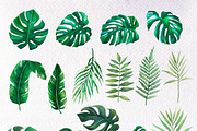 Watercolor Tropical BIG BUNDLE PNG, a Seasonal Illustration by PatternPalette (Thumbnail 4 of 15)
