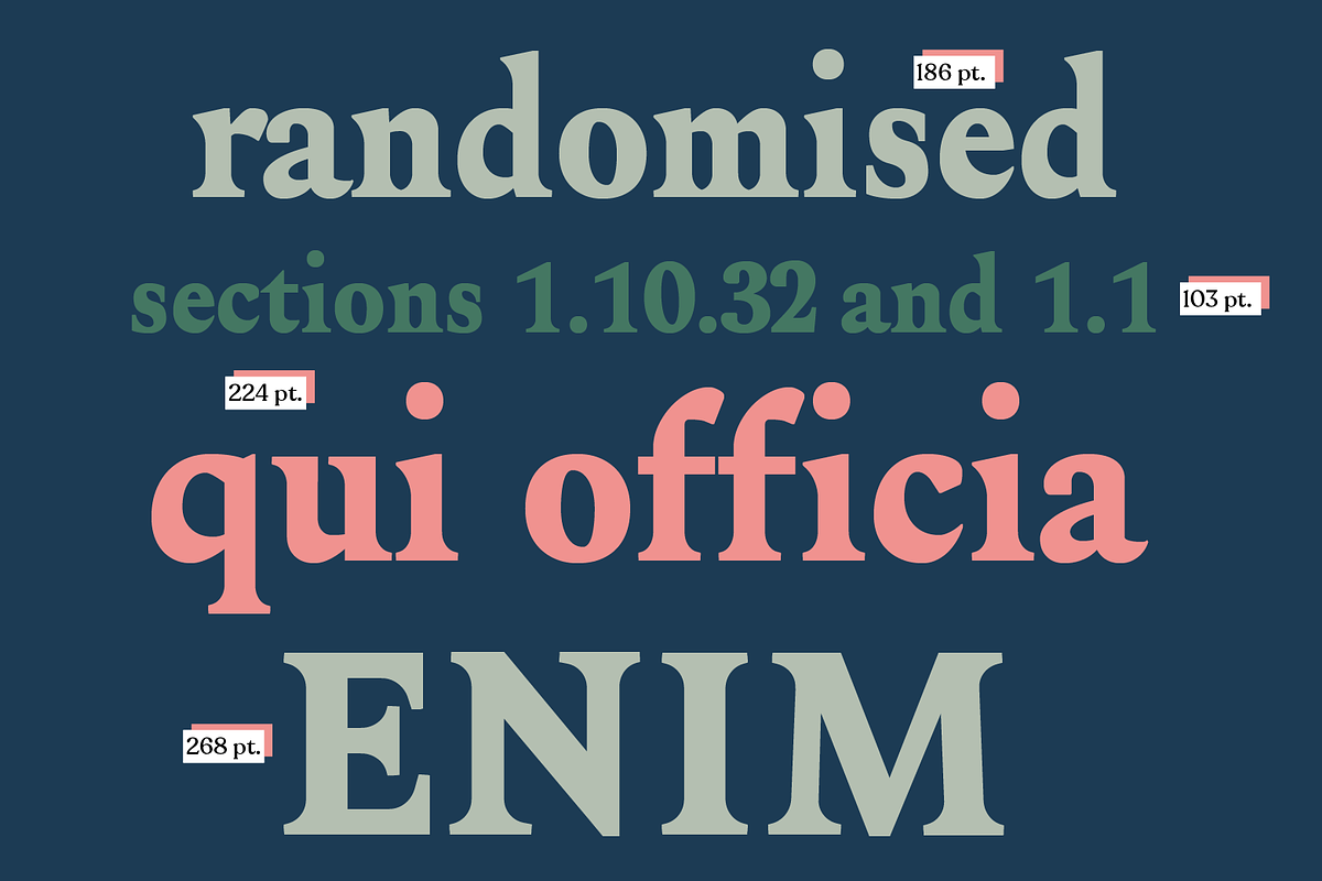 Acelga, a Serif Font by yaisalinas (Photo 15 of 15)