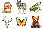 Watercolor Woodland Life Clipart, an Illustration by Craft Nest (Thumbnail 4 of 6)