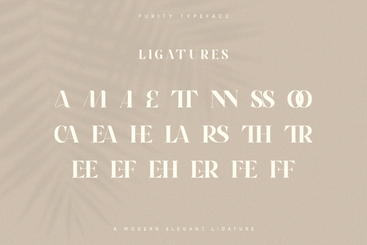 Purity - Modern Ligature Font, a Serif Font by TypeFounder (Photo 9 of 11)