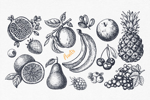 Fruits. Hand Drawn Collection.