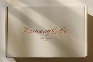 Harmony Logo Template Canva