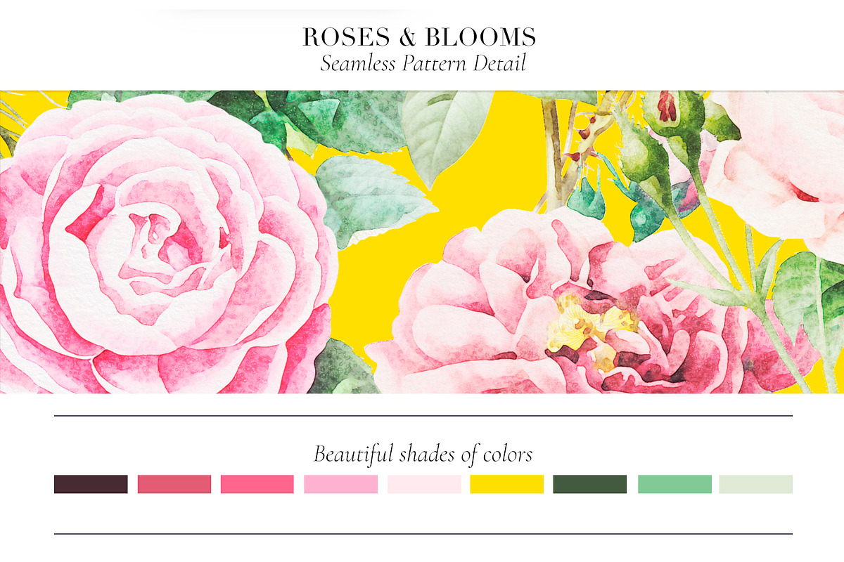 Roses & Blooms, a Pattern Graphic by TSTUDIO (Photo 5 of 9)