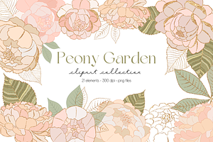Peony Clipart Flowers Peonies