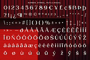 Reilyc Elegant - Blackletter Sans, a Blackletter Font by RagamKata (Thumbnail 10 of 10)
