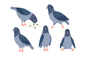 Set of different pigeon poses. Bird, a Graphic by Stock-Smart-Start