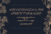 Brown Carlson - The Luxury Signature, a Script Font by Graphicfresh (Thumbnail 7 of 8)