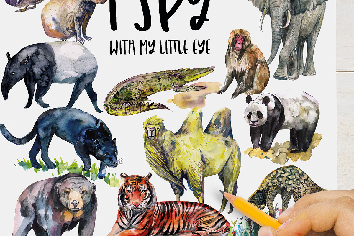 Asian animals activities, an Animal Illustration by ArtSpotVeronika (Photo 5 of 7)